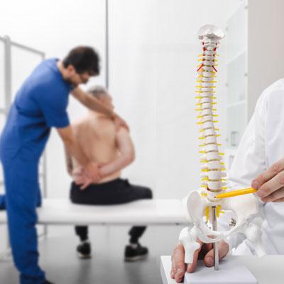 Chiropractor examining a patient beside a spine model